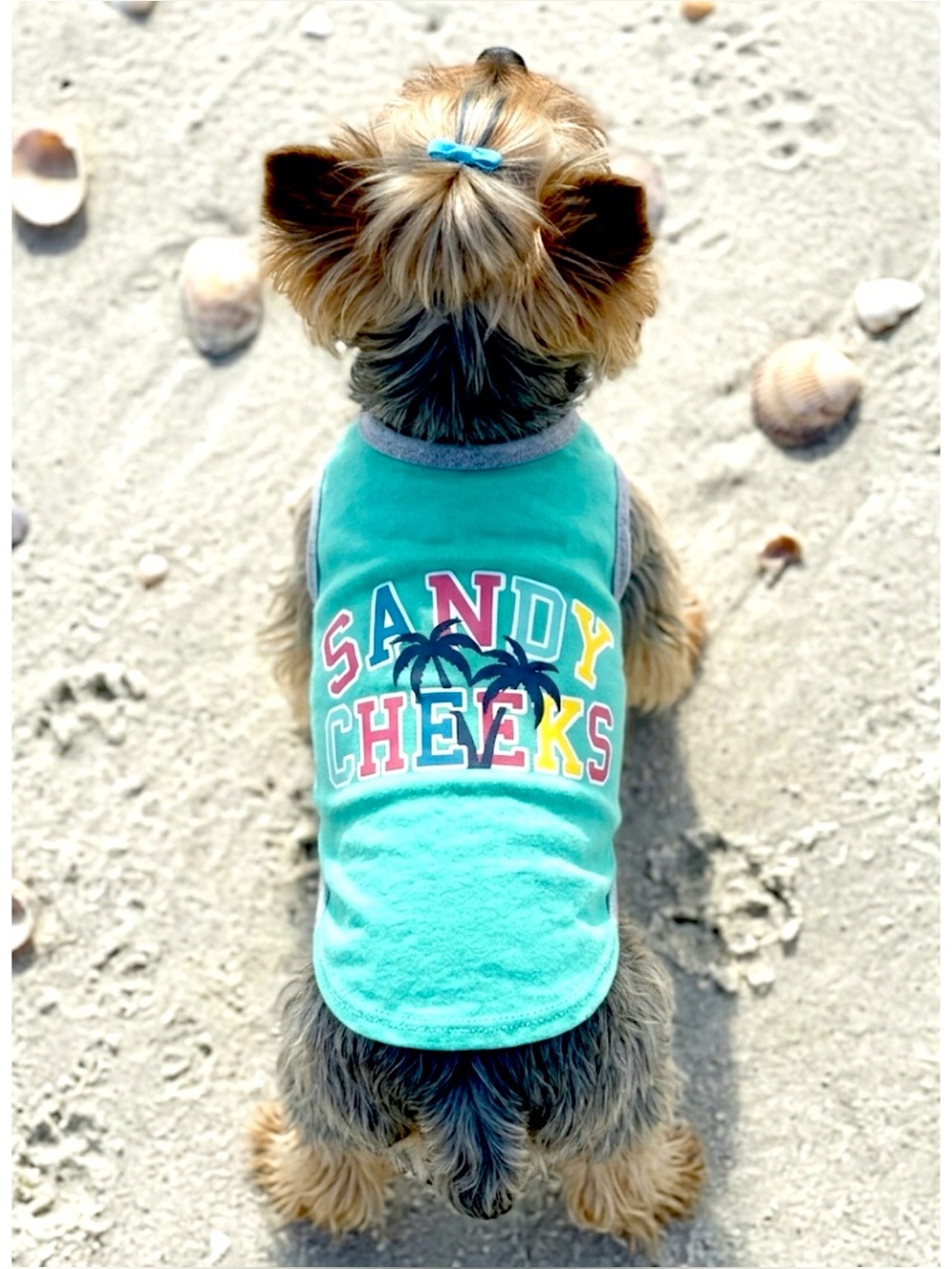 DOG T-SHIRT PREPPY SUMMER VIBES MEDIUM BEACH SANDY CHEEKS LIGHTWEIGHT COTTON NEW